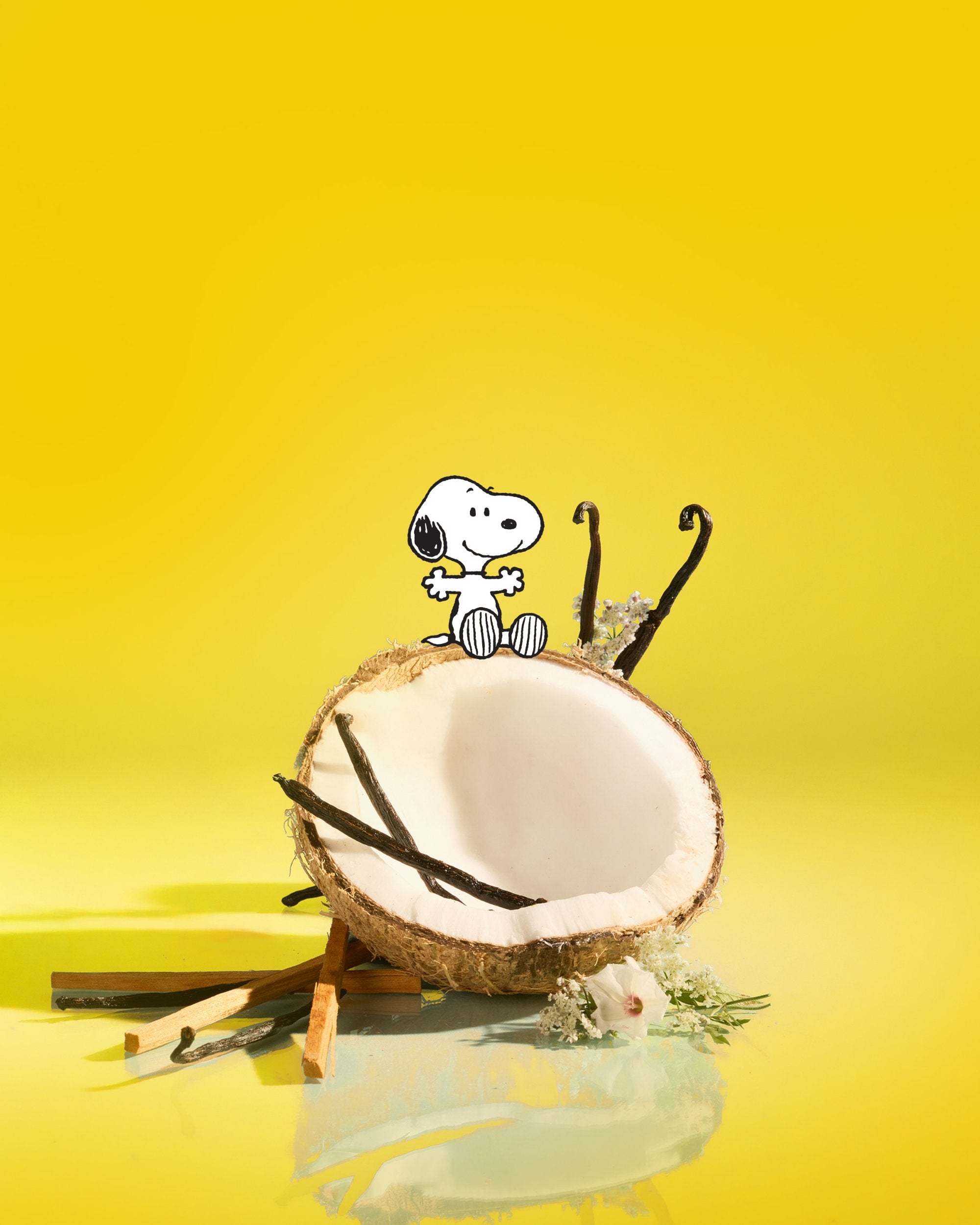 Peanuts_Vanilla_Shea_Sugar_Scrub_scent.jpg