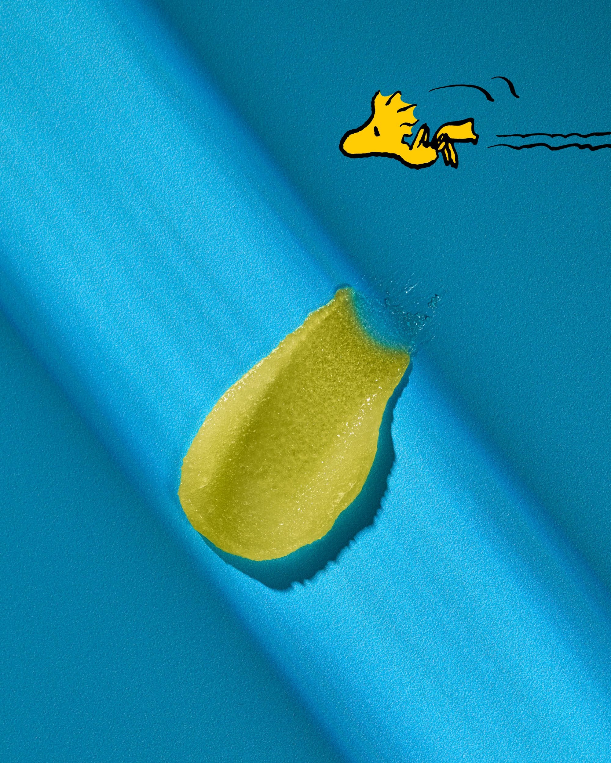 Peanuts_Woodstock_Glow_Shea_Sugar_Scrub_smear.jpg
