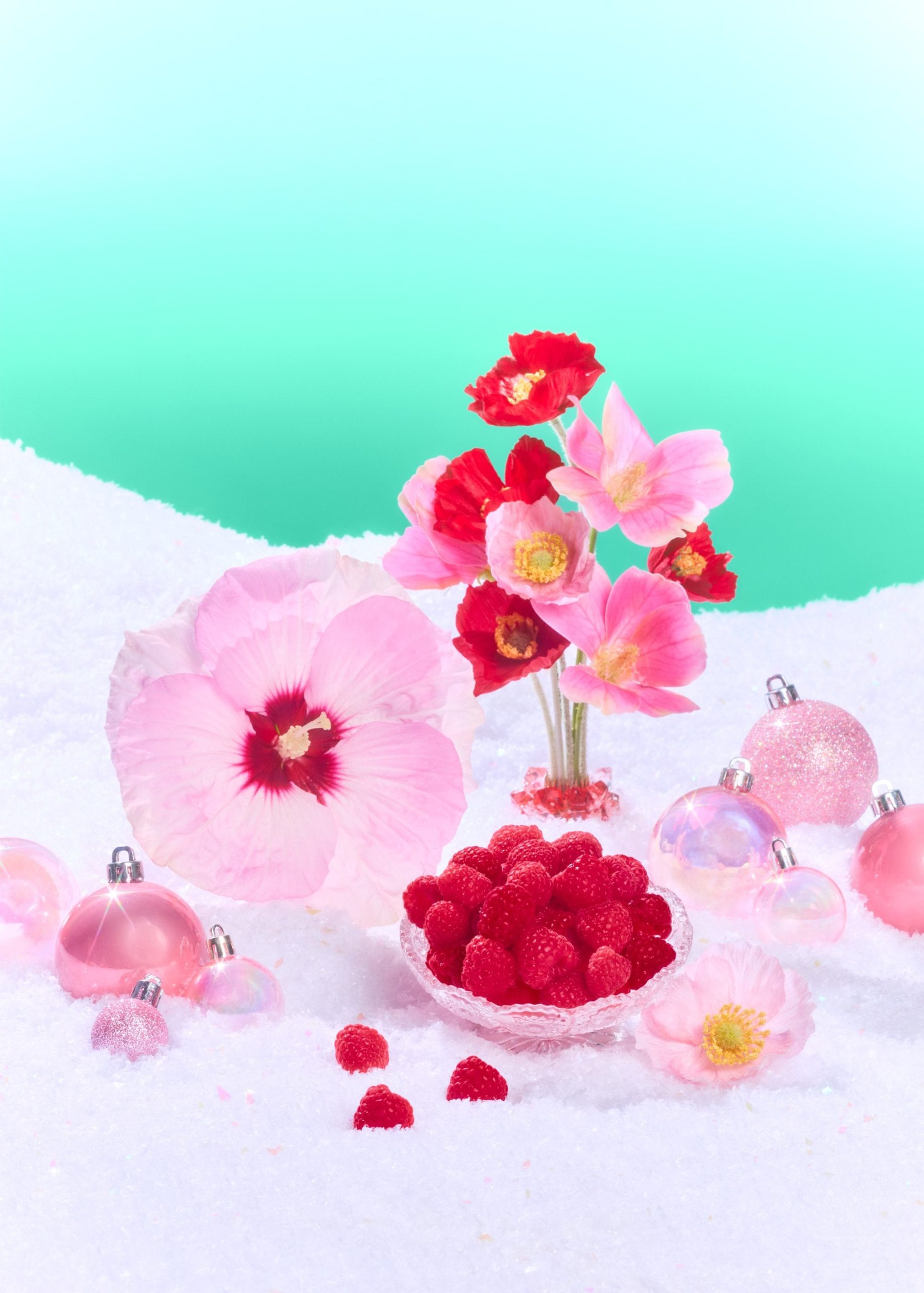 Tree-Hut-PinkHibiscus-Ingredients-Holiday26-5x7-15533_1_de62d373-7f1c-4639-89fa-e4076e40b81c-scaled-1.jpg