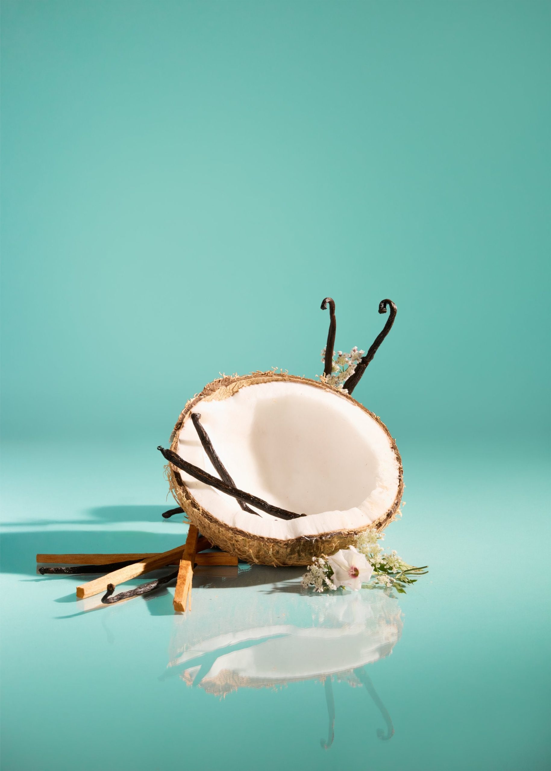 Tree-Hut-Vanilla-HydraglowBodySerum-Ingredients-Summer25-5x7-0934-2_c72a7f9e-ec9f-4d6f-9f4d-c50630ce4f4d-scaled-1.jpg