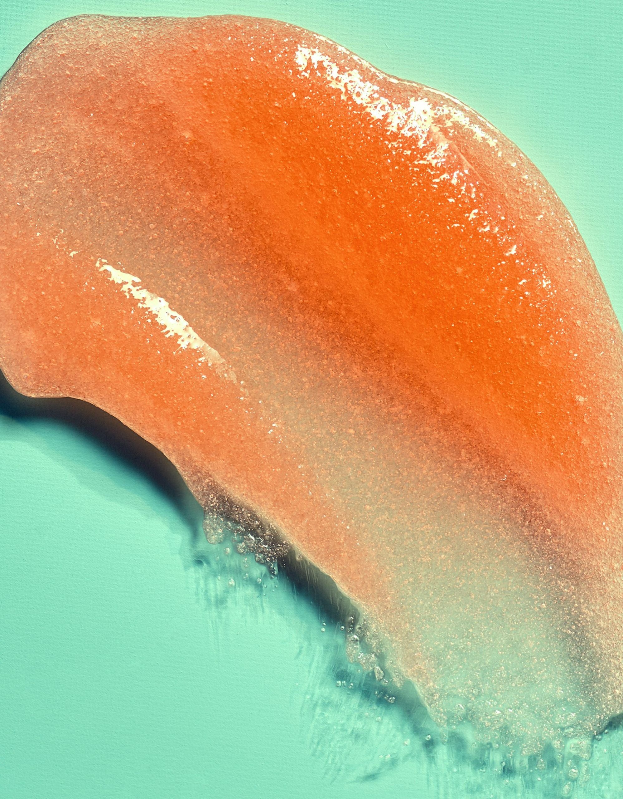 bikini-reef-shea-sugar-scrub-smear-scaled-1.jpg